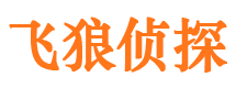 六安侦探公司